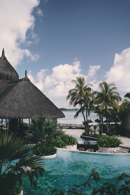 Guest Reviews and Experiences