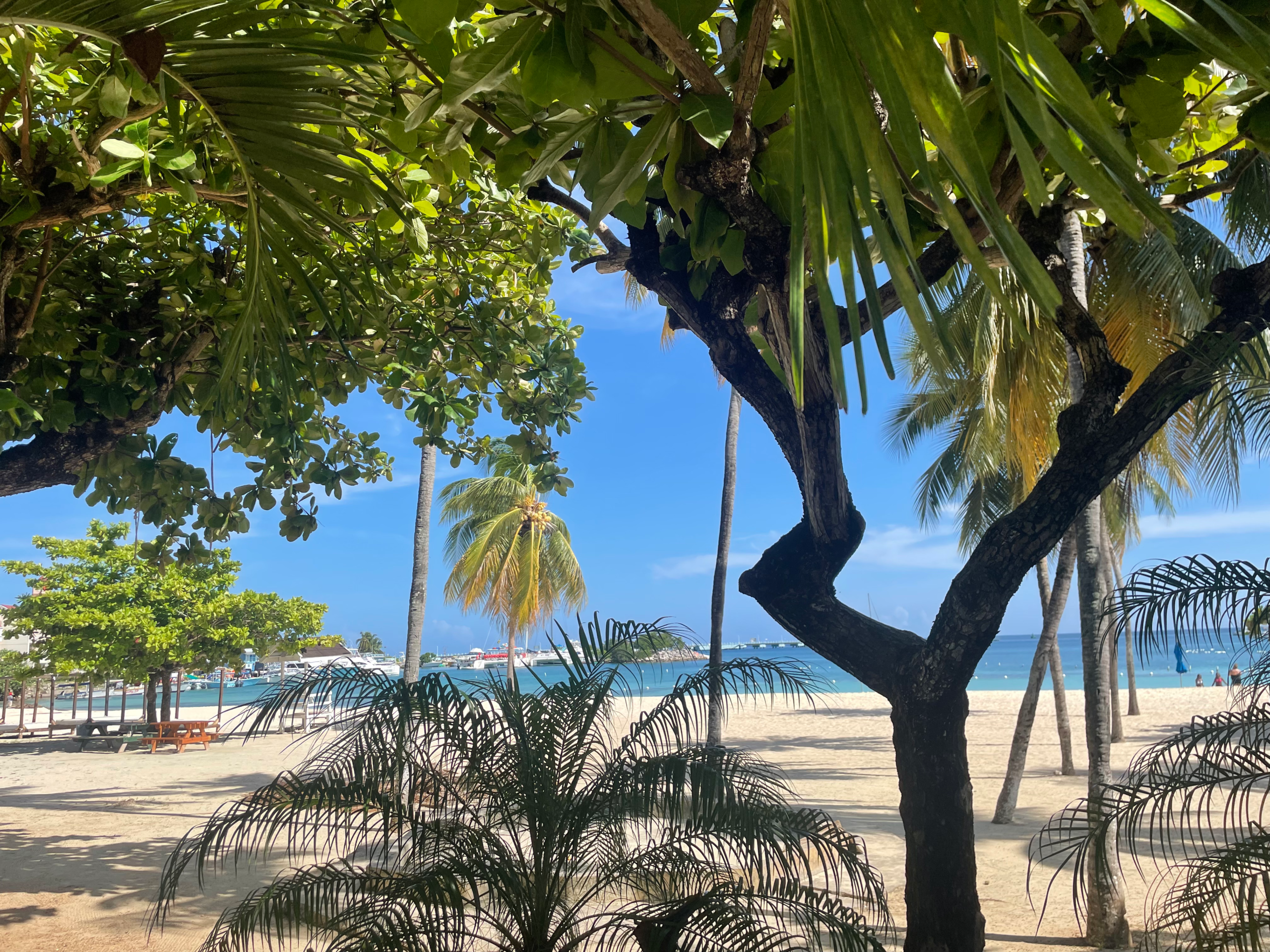 Beach in Ocho Rios near Ochi50
